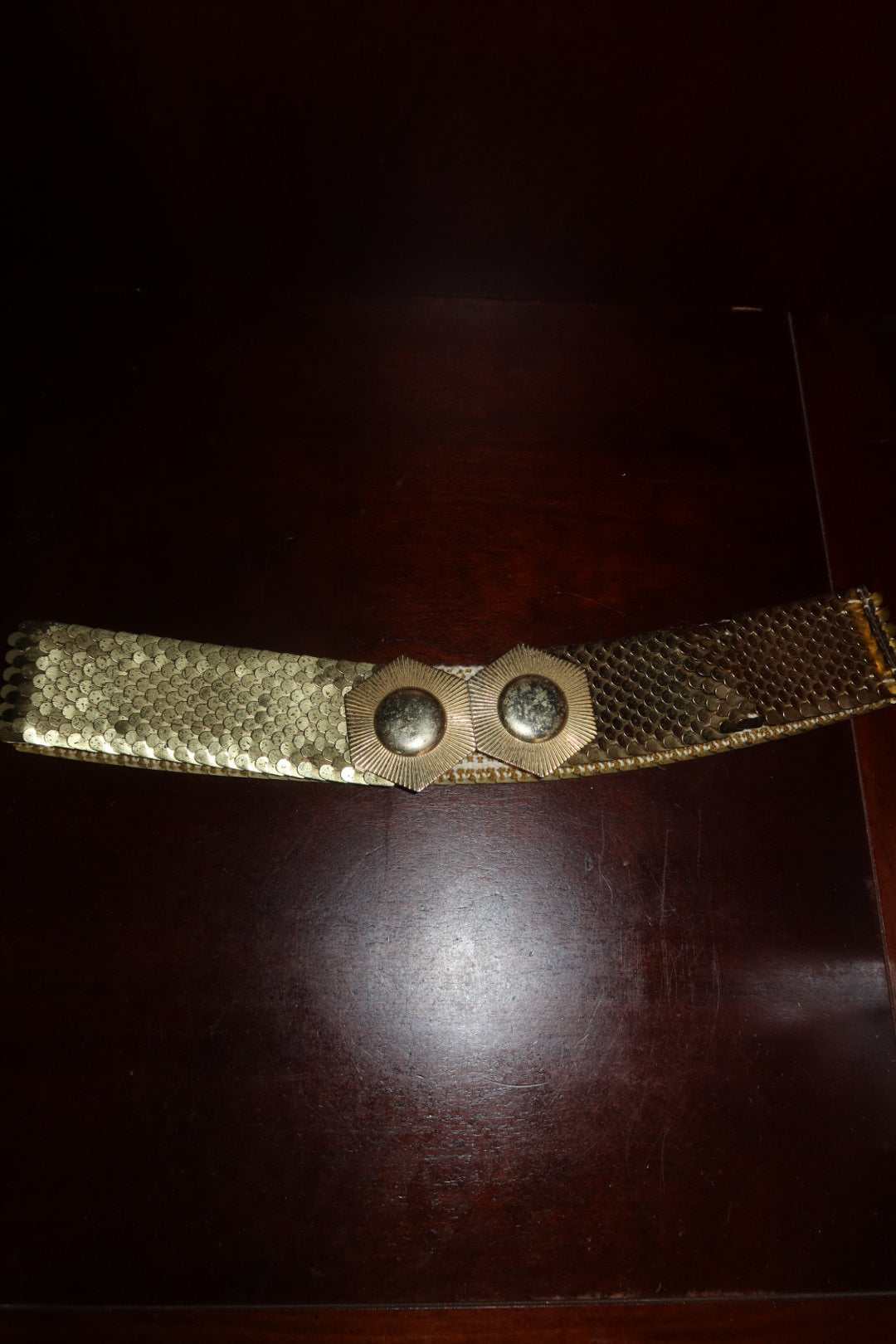 Vintage Fish-Scale Mesh Stretch Waist Belt