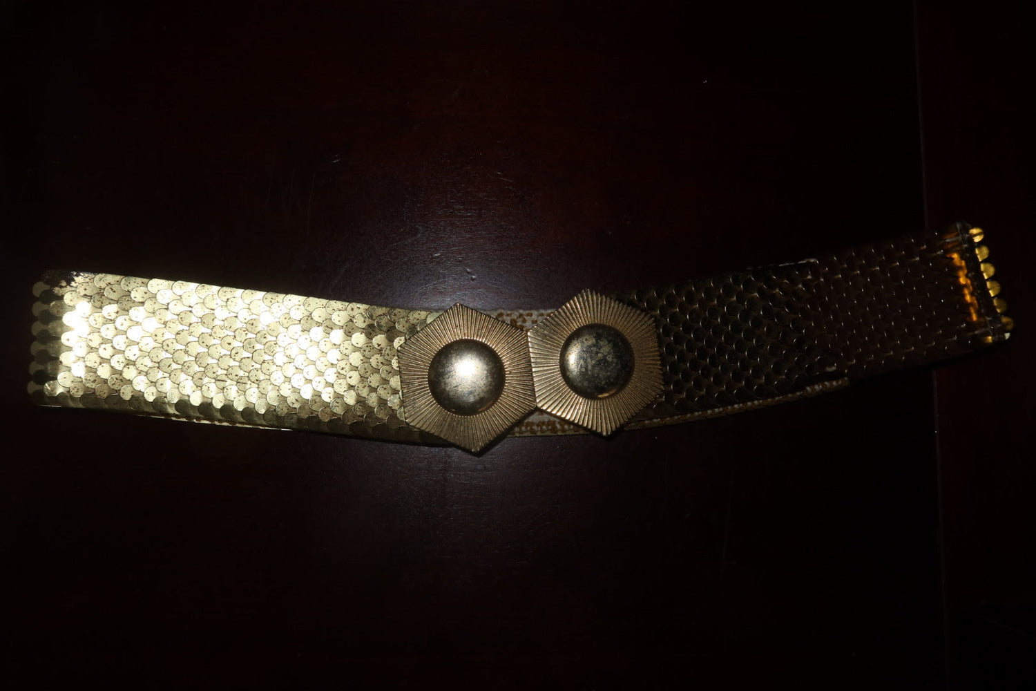 Vintage Fish-Scale Mesh Stretch Waist Belt