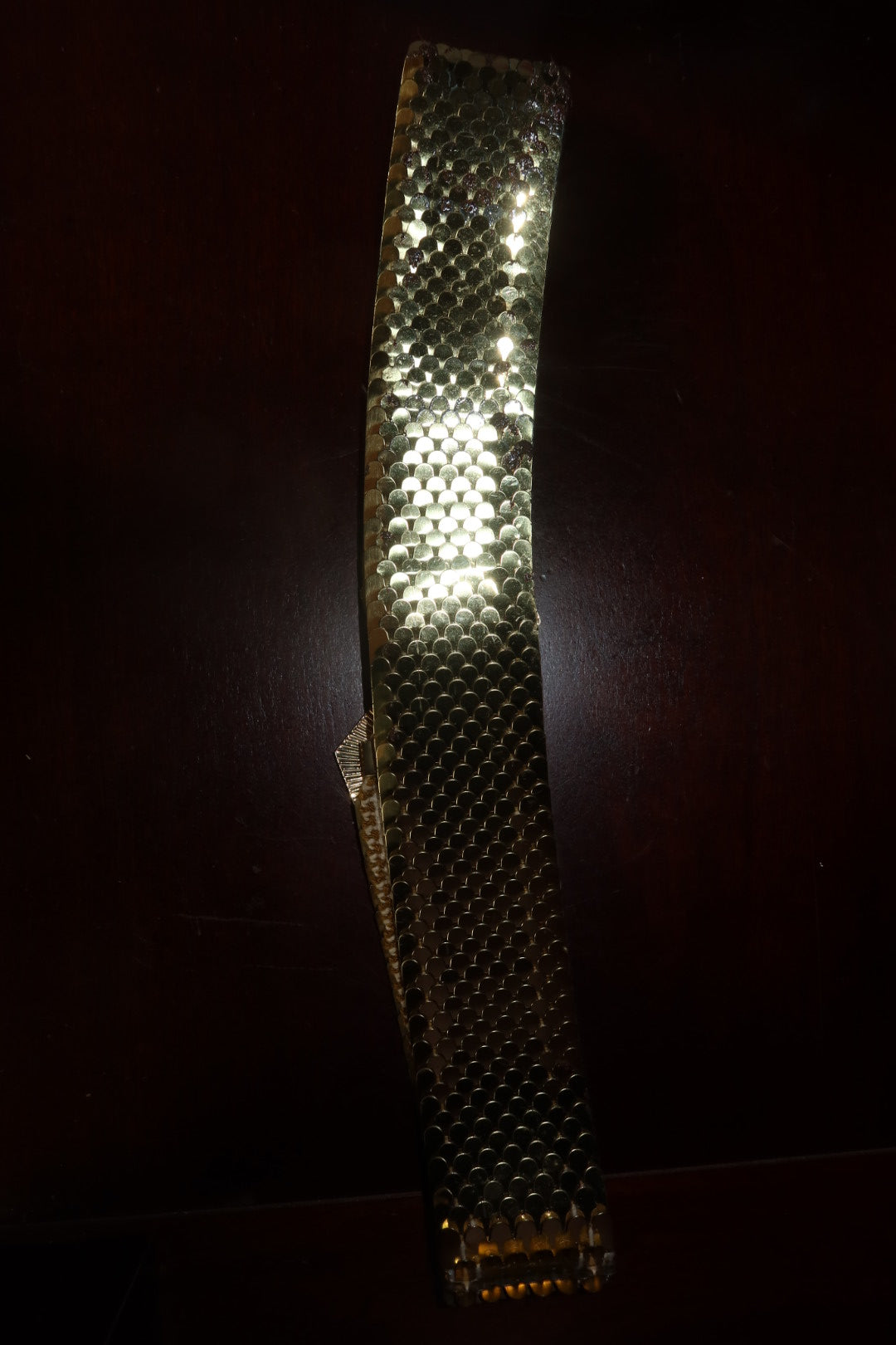 Vintage Fish-Scale Mesh Stretch Waist Belt