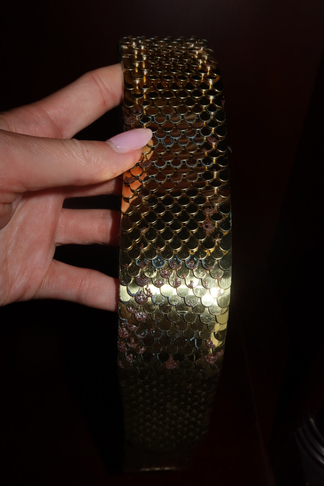 Vintage Fish-Scale Mesh Stretch Waist Belt